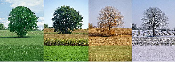 《霍格沃兹的传承》将在《神奇动物3》上映后发售