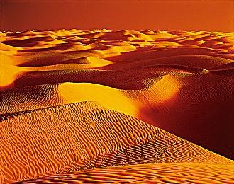 《失落之魂》官方表示已开发完成 8月29日如期发售